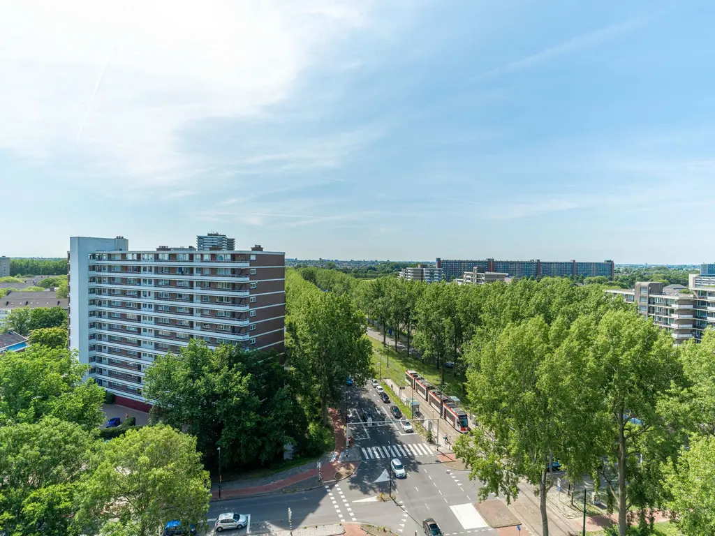 Ocarinalaan 146, RIJSWIJK