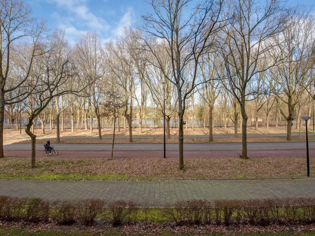Dr H. Colijnlaan 4F013, Rijswijk