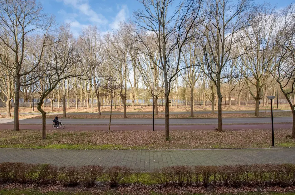 Dr H. Colijnlaan 4F013