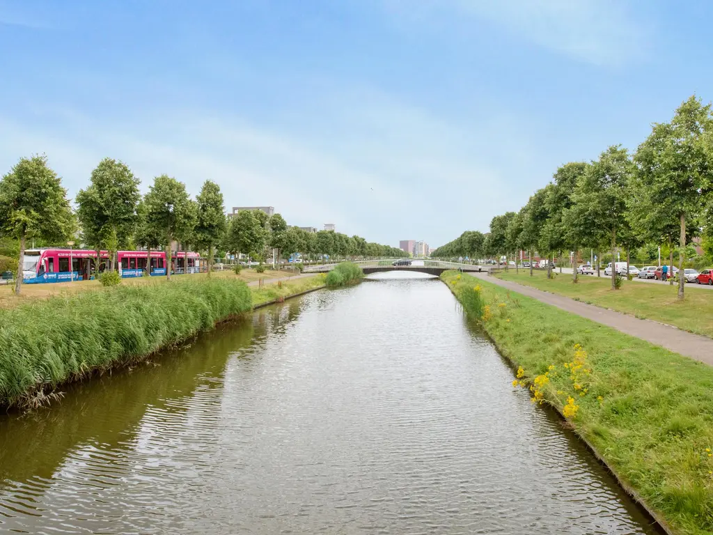 Zilvermeeuwlaan , 'S-GRAVENHAGE