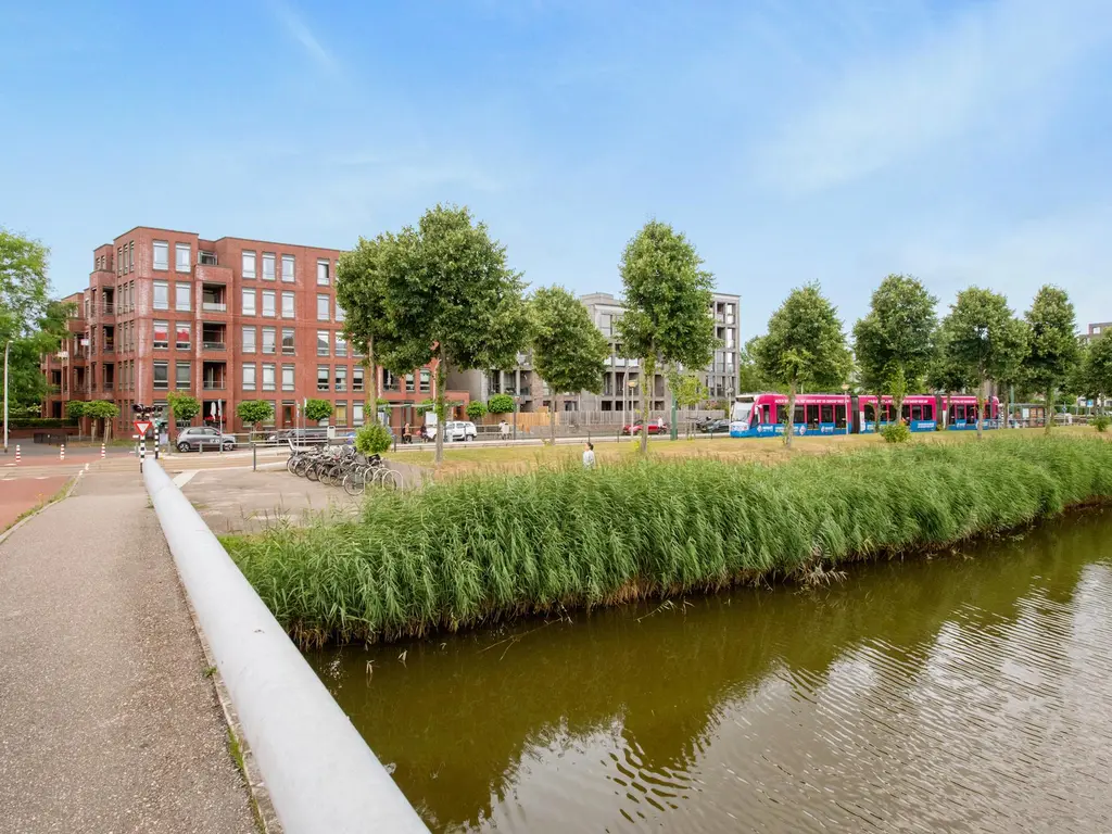 Zilvermeeuwlaan , 'S-GRAVENHAGE