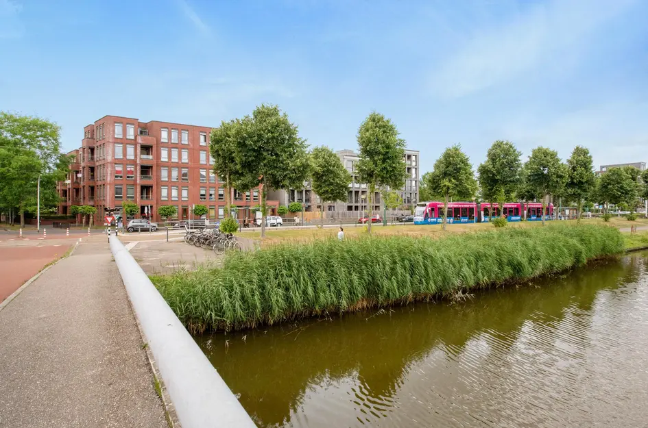 Zilvermeeuwlaan 