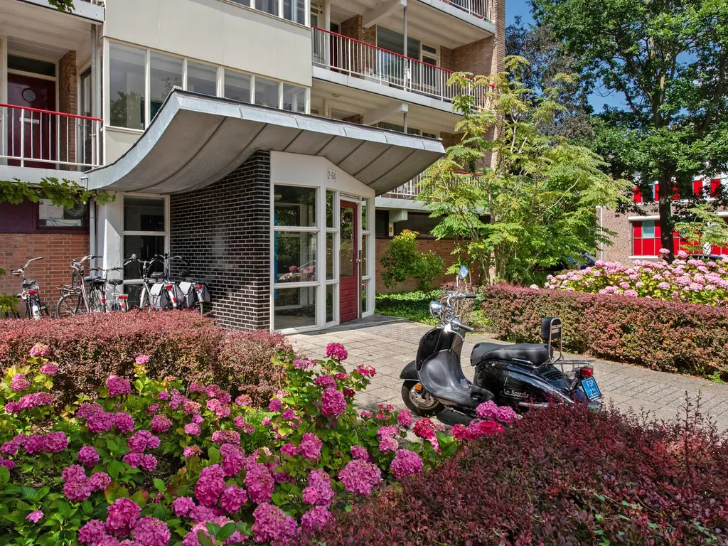 Willem Royaardsstraat 38, RIJSWIJK