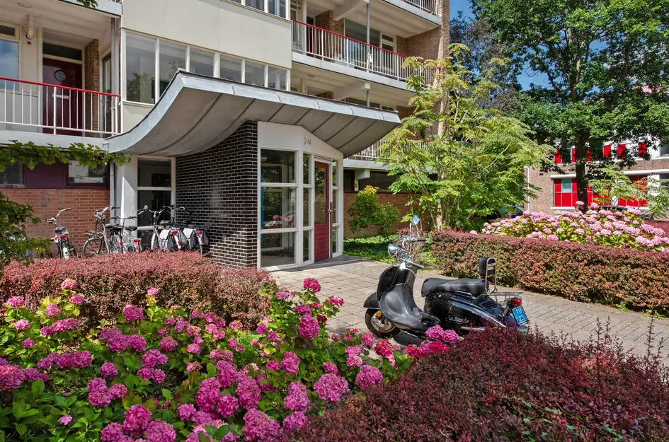 Willem Royaardsstraat 38