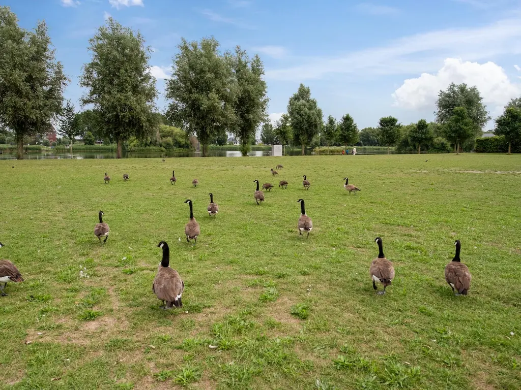 Rijswijkse Landingslaan 410, 'S-GRAVENHAGE