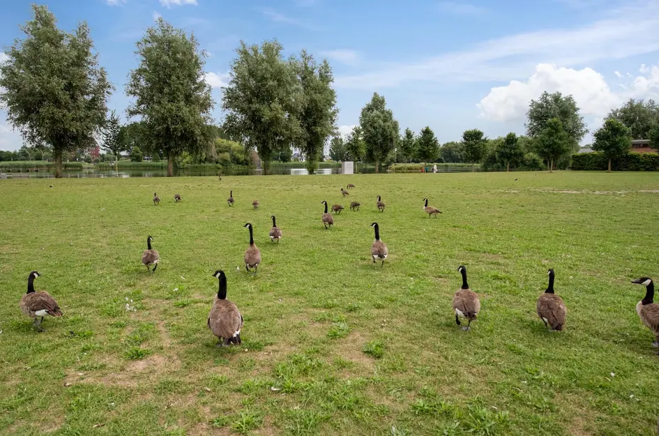Rijswijkse Landingslaan 410