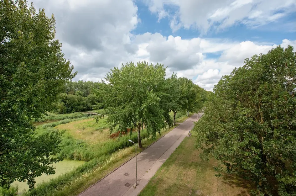 Arendlaan 42