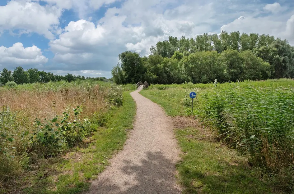 Arendlaan 42