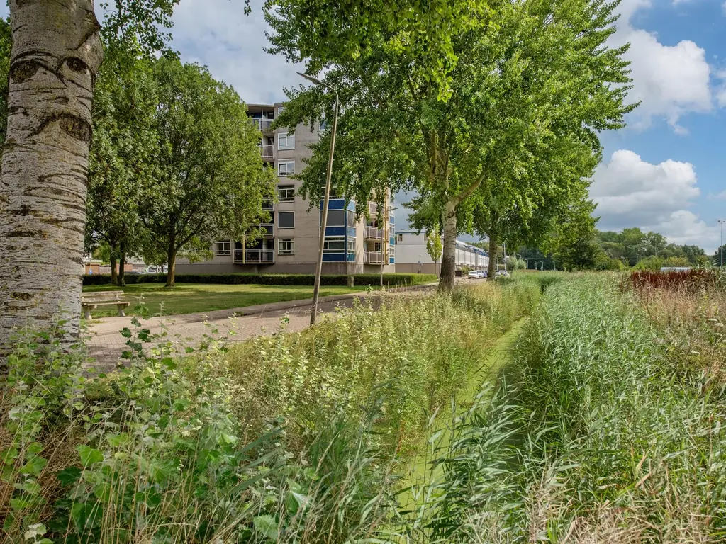 Arendlaan 42, DELFT
