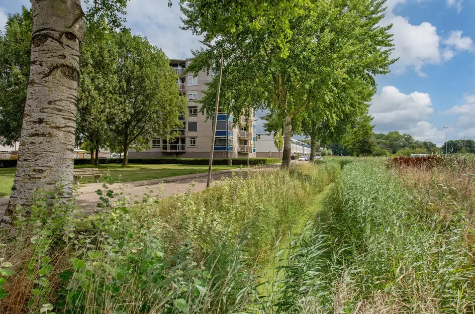 Arendlaan 42