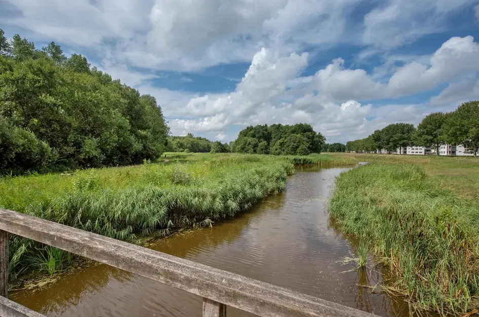 Arendlaan 42