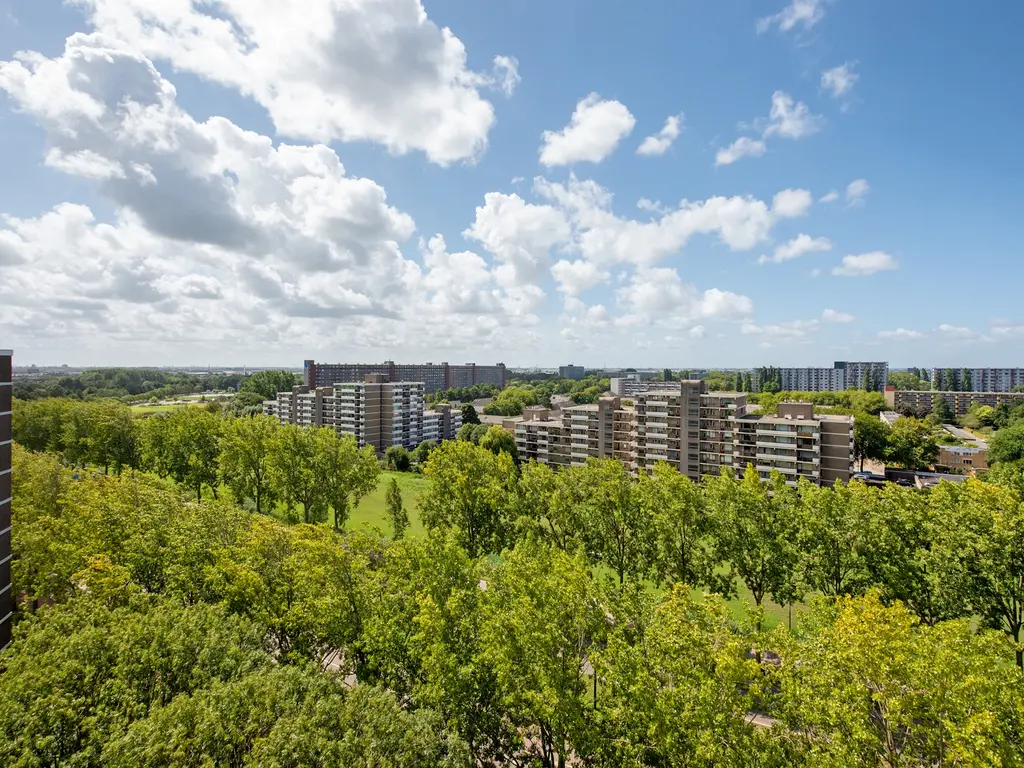 Ocarinalaan 434, RIJSWIJK