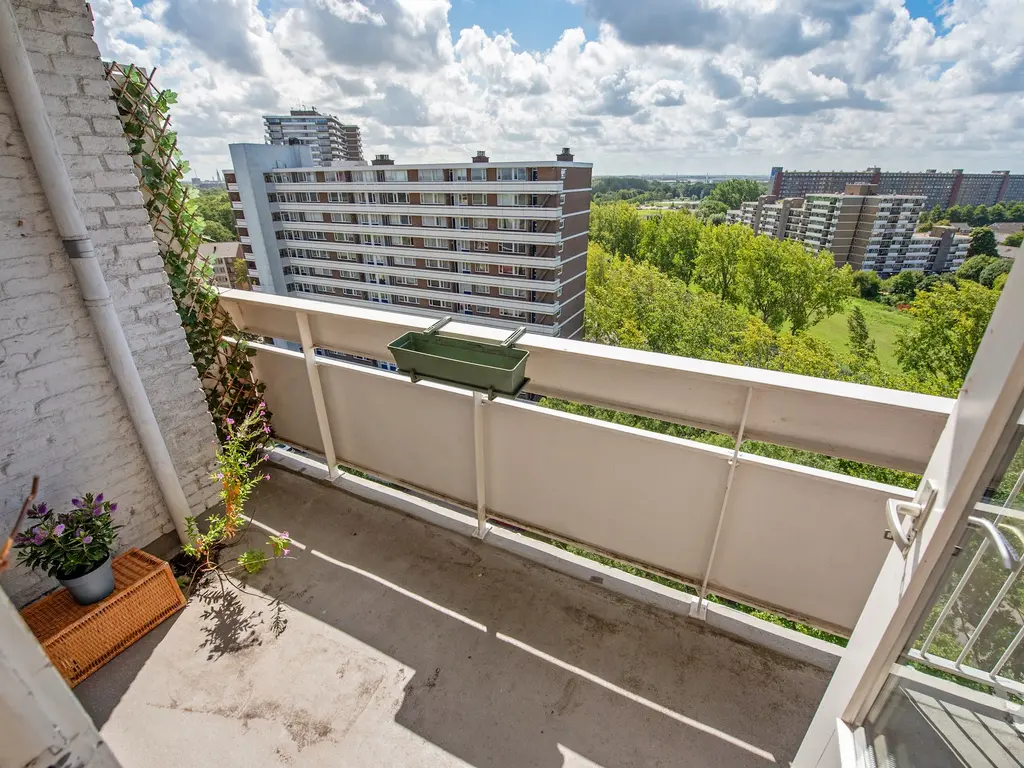 Ocarinalaan 434, RIJSWIJK