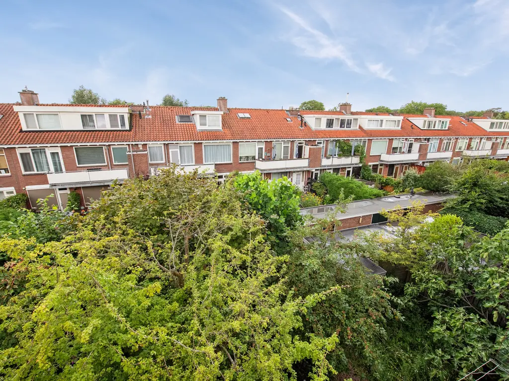 Jaagpad 51, RIJSWIJK