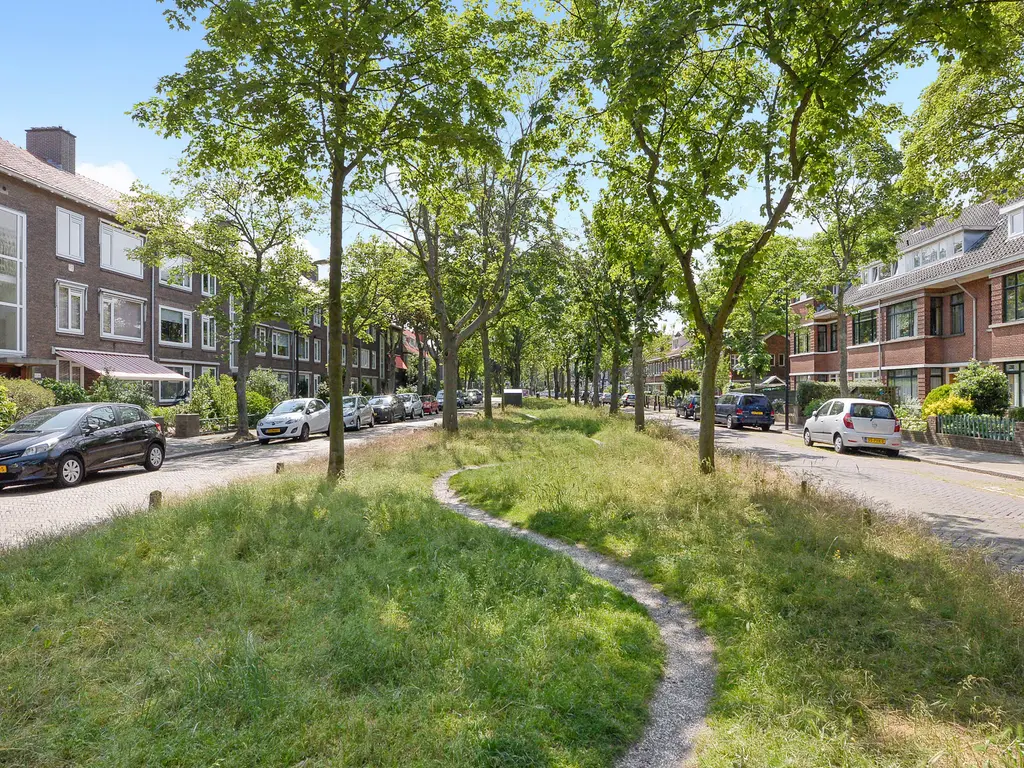Jozef Israelslaan 257, RIJSWIJK