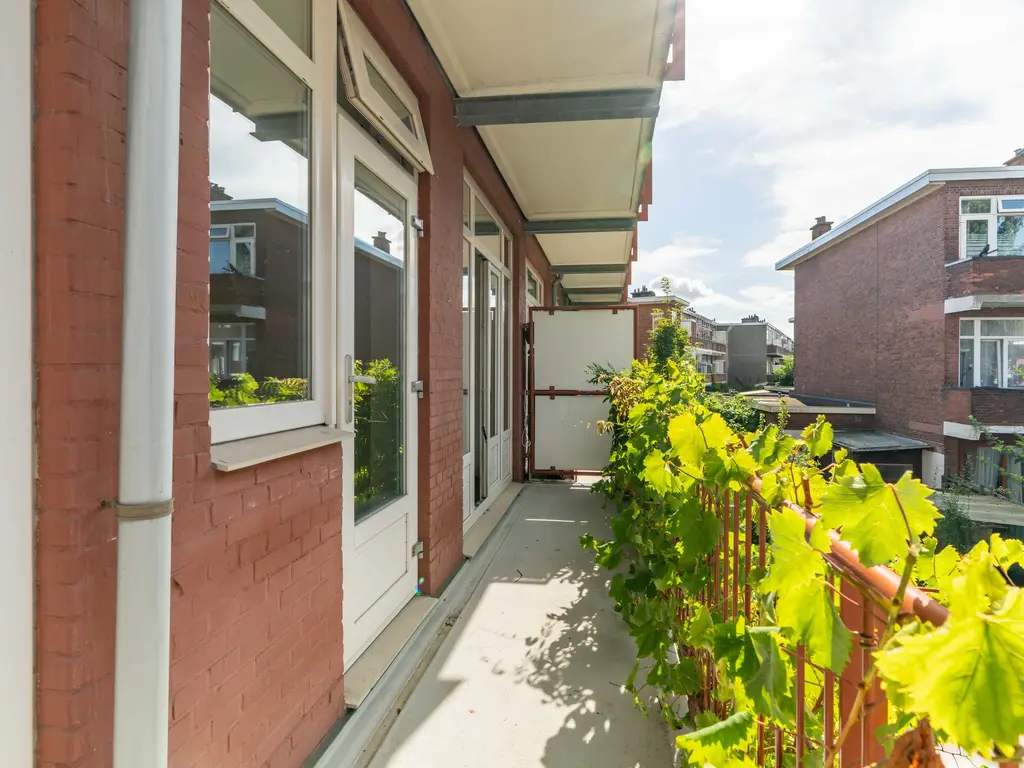 Hattemlaan 17, 'S-GRAVENHAGE