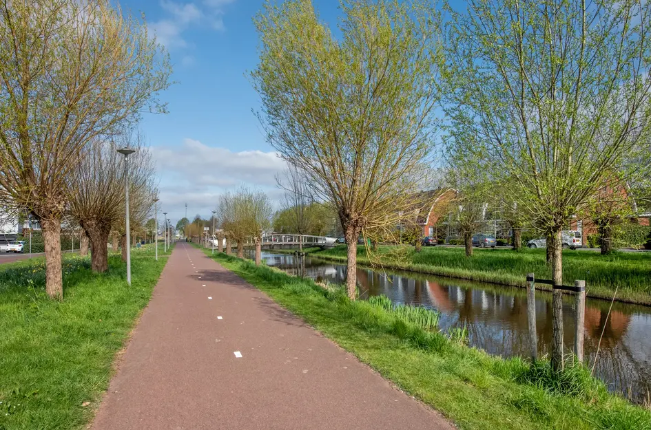 Frank van Hulsentoplaan 41