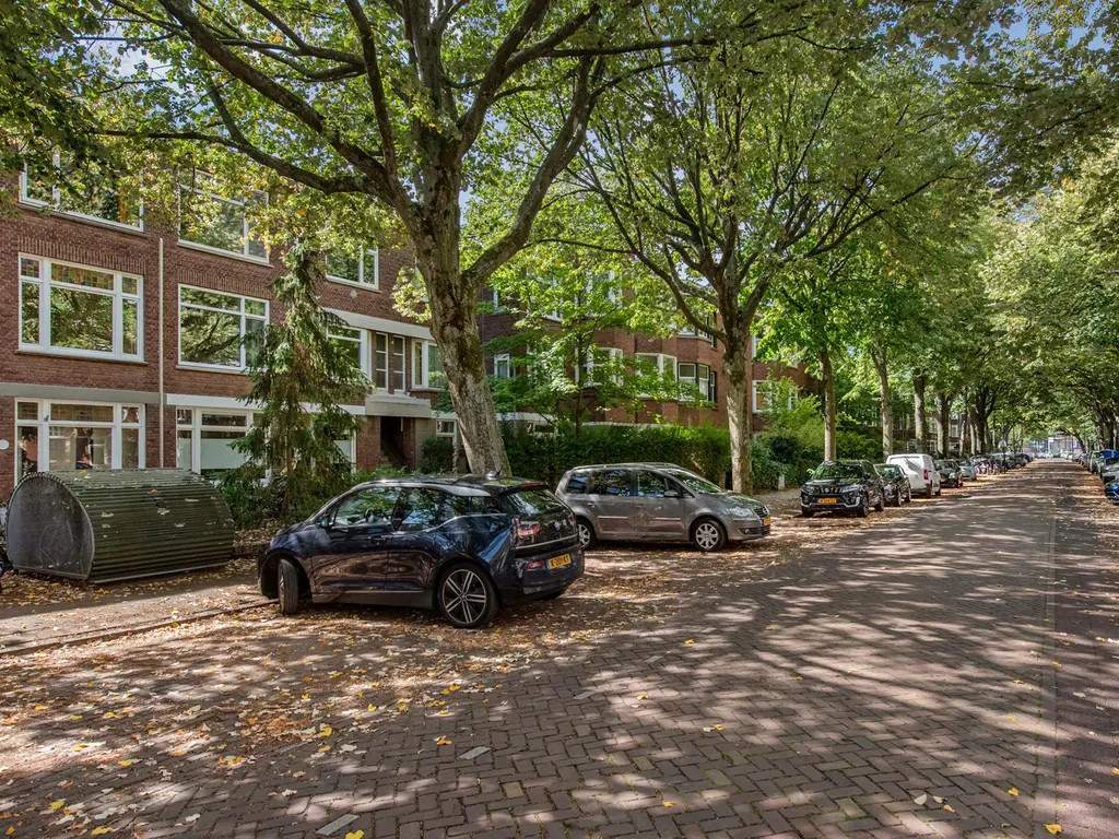 Caan van Necklaan 156, RIJSWIJK