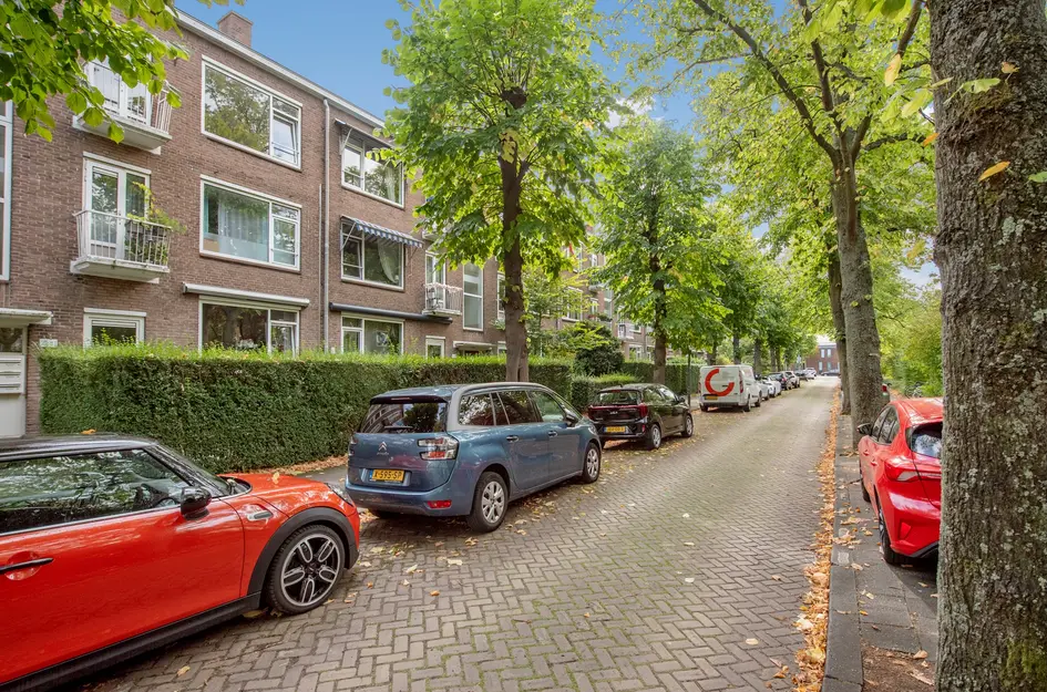 Cornelis Suyslaan 29