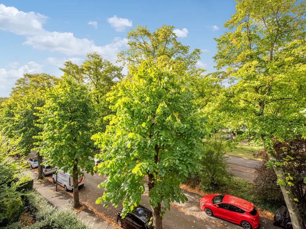 Cornelis Suyslaan 29, RIJSWIJK