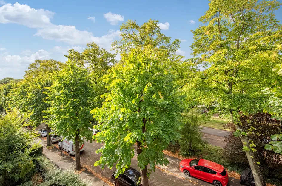 Cornelis Suyslaan 29