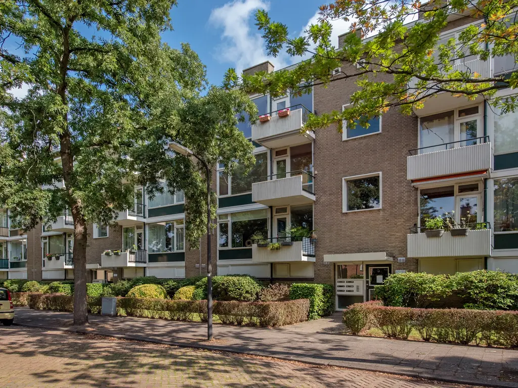 Dr Augustijnlaan 113, RIJSWIJK