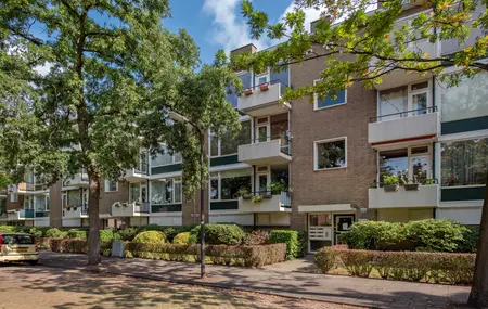 Dr Augustijnlaan 113, RIJSWIJK