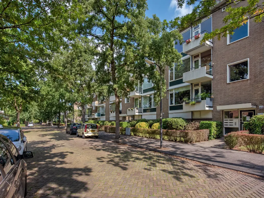 Dr Augustijnlaan 113, RIJSWIJK