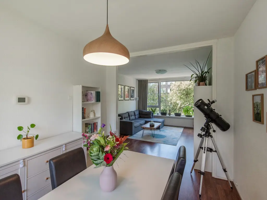 Dr N. Adrianistraat 19, RIJSWIJK