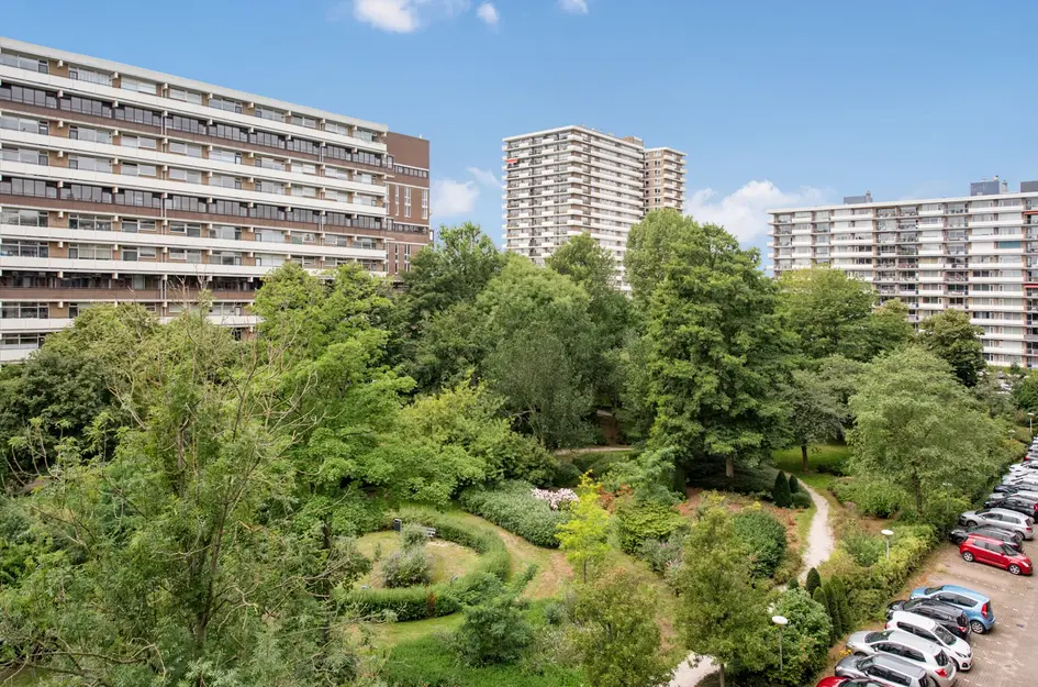 Steenvoordelaan 266