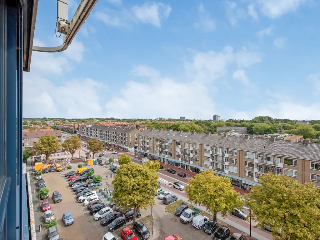 Burgemeester Elsenlaan 241F602, RIJSWIJK