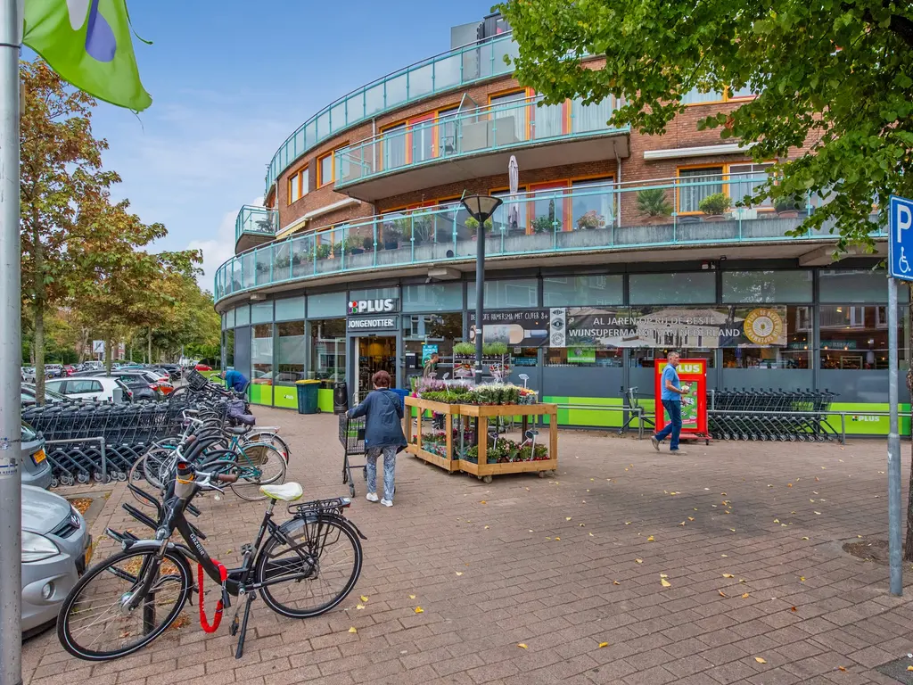 Minister Aalberselaan 142, RIJSWIJK