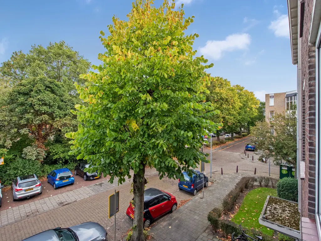 Tulpstraat 48, RIJSWIJK