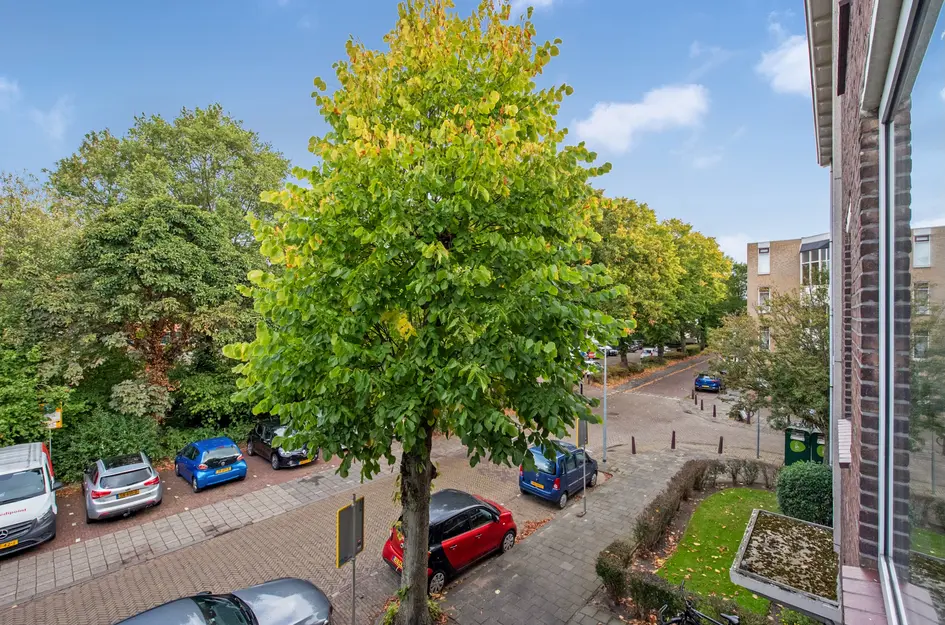 Tulpstraat 48