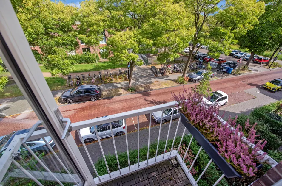 Wijnandt van Elststraat 68