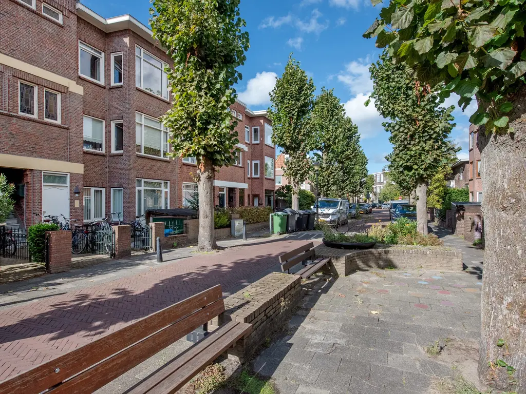 Ieplaan 54, RIJSWIJK