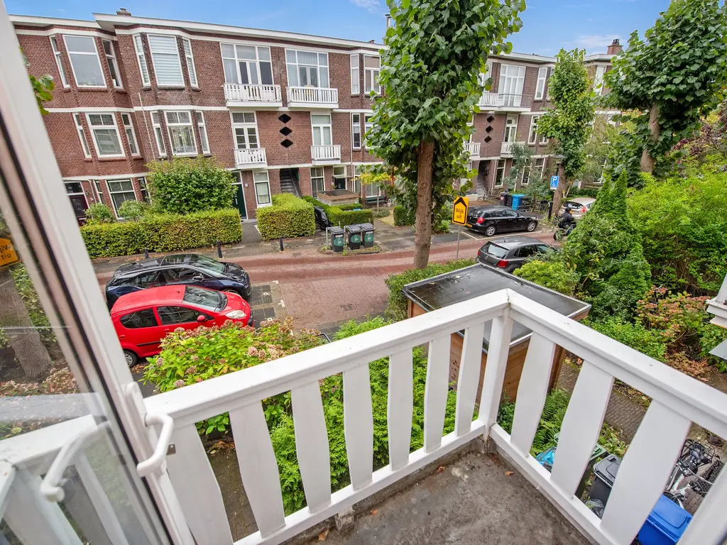 Ieplaan 28, RIJSWIJK