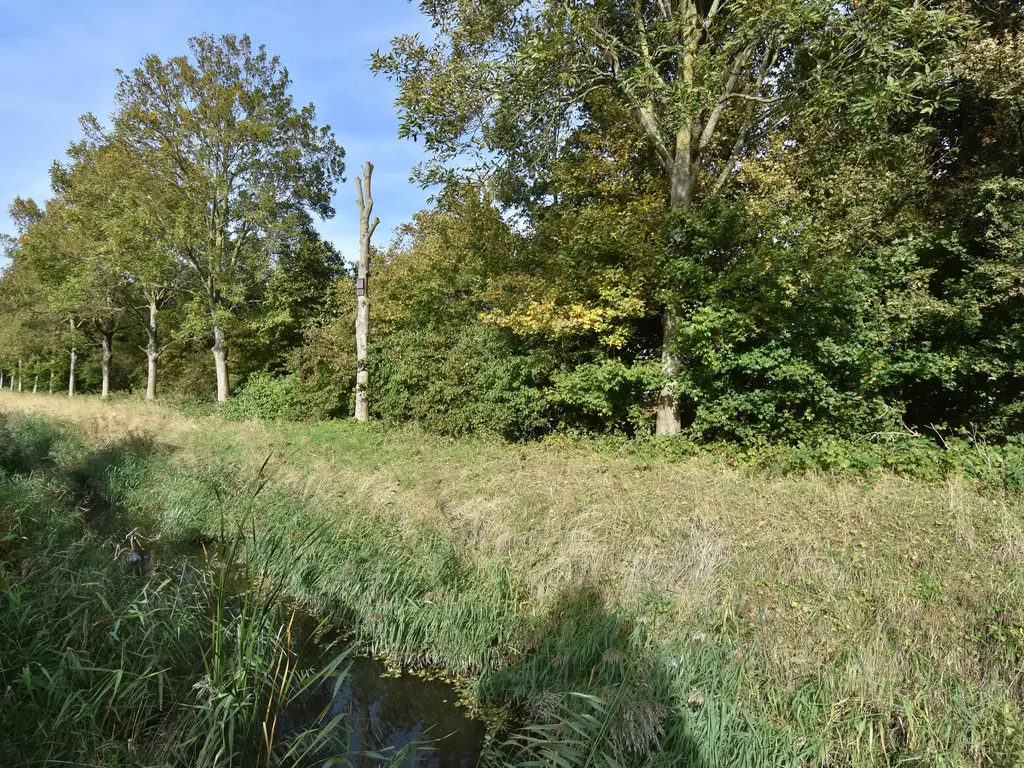Lange Dreef 134, RIJSWIJK