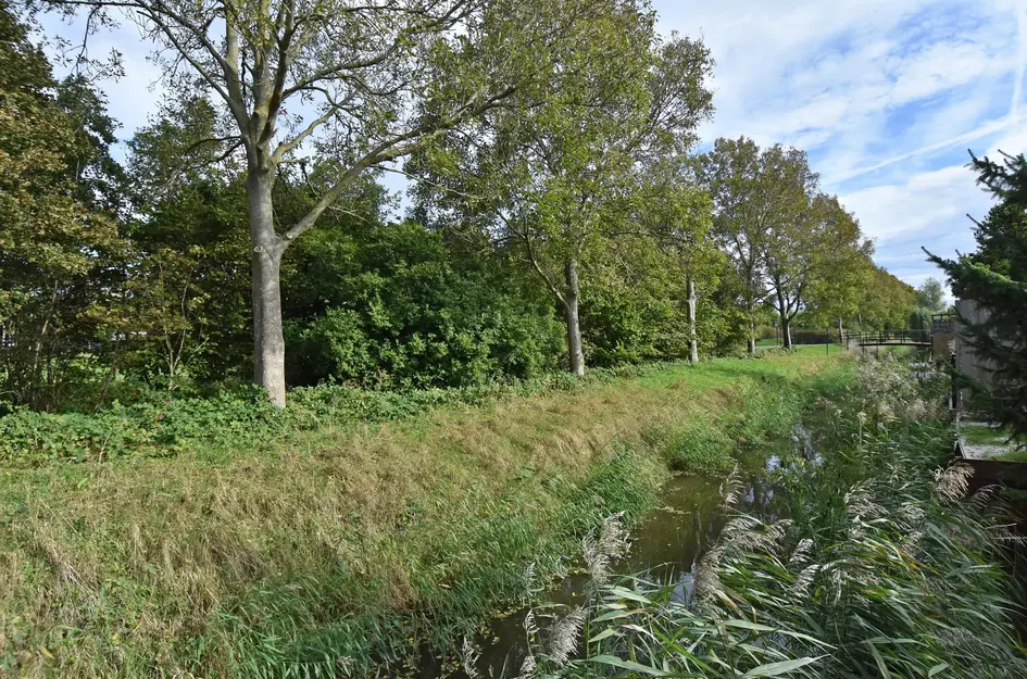 Lange Dreef 134