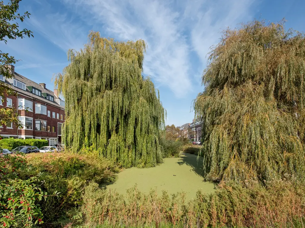 Morelstraat 23, 'S-GRAVENHAGE