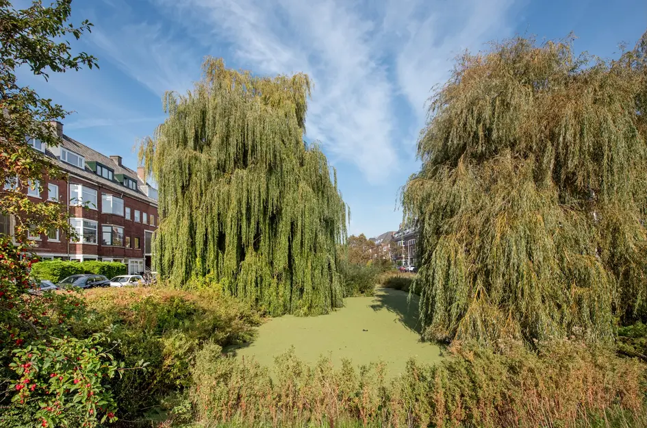 Morelstraat 23