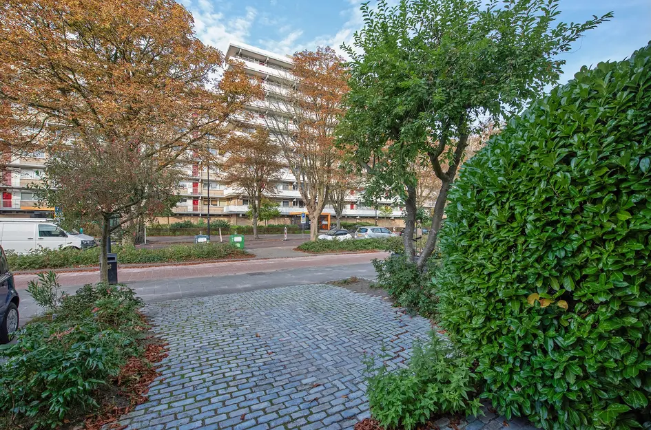 Steenvoordelaan 9a