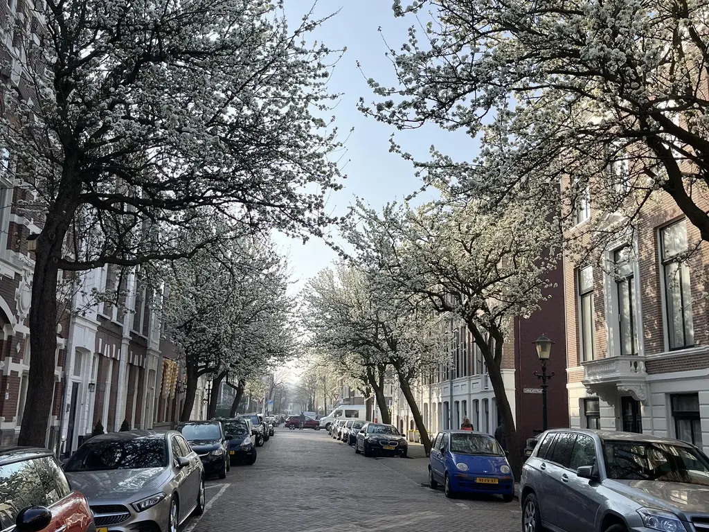 Balistraat 100, 'S-GRAVENHAGE