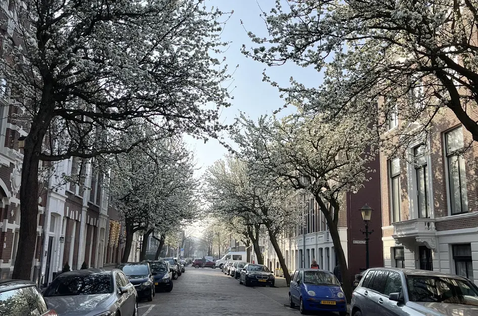 Balistraat 100