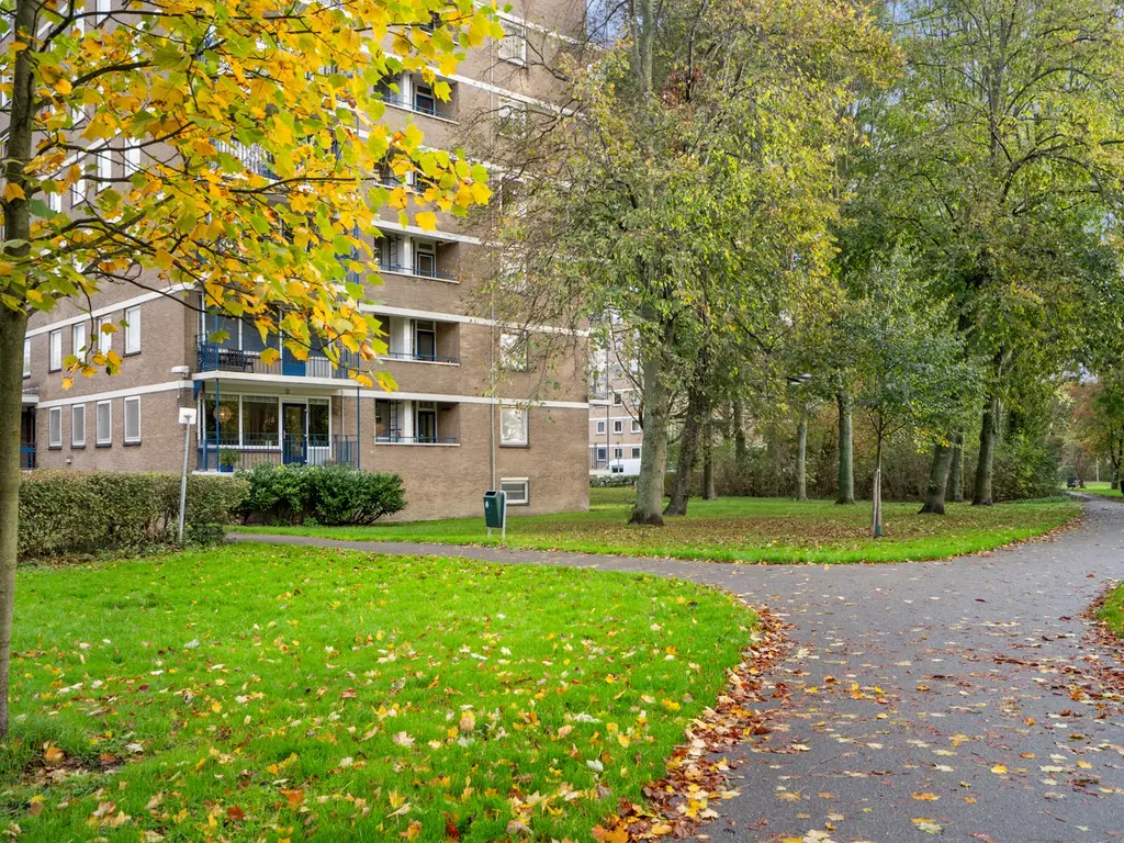 Denenburg 75, 'S-GRAVENHAGE