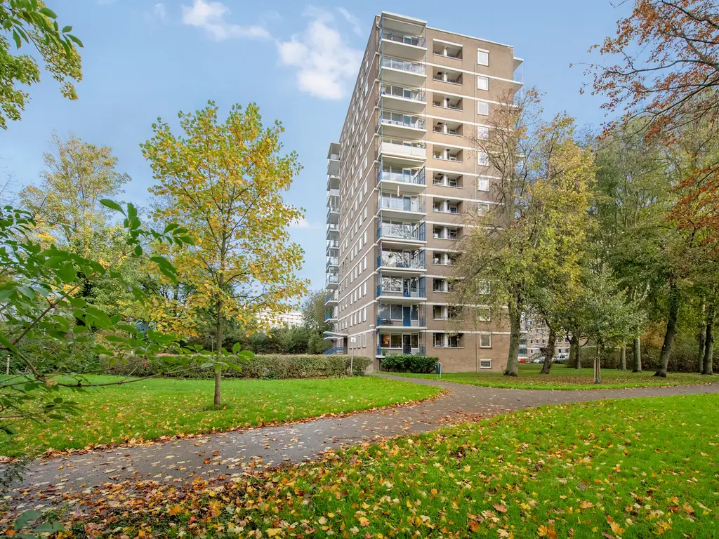 Denenburg 75, 'S-GRAVENHAGE