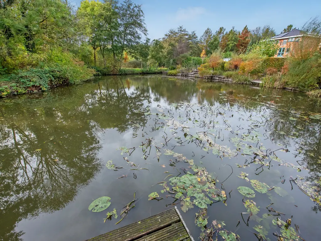 Jaagpad 104, RIJSWIJK