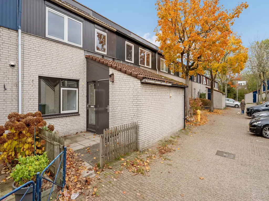 Kiekendiefhof 3, DELFT