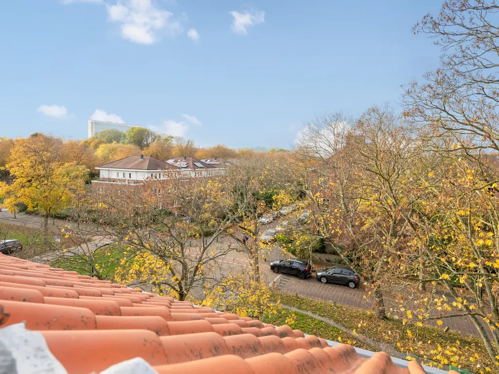 Jozef Israëlslaan 471, RIJSWIJK