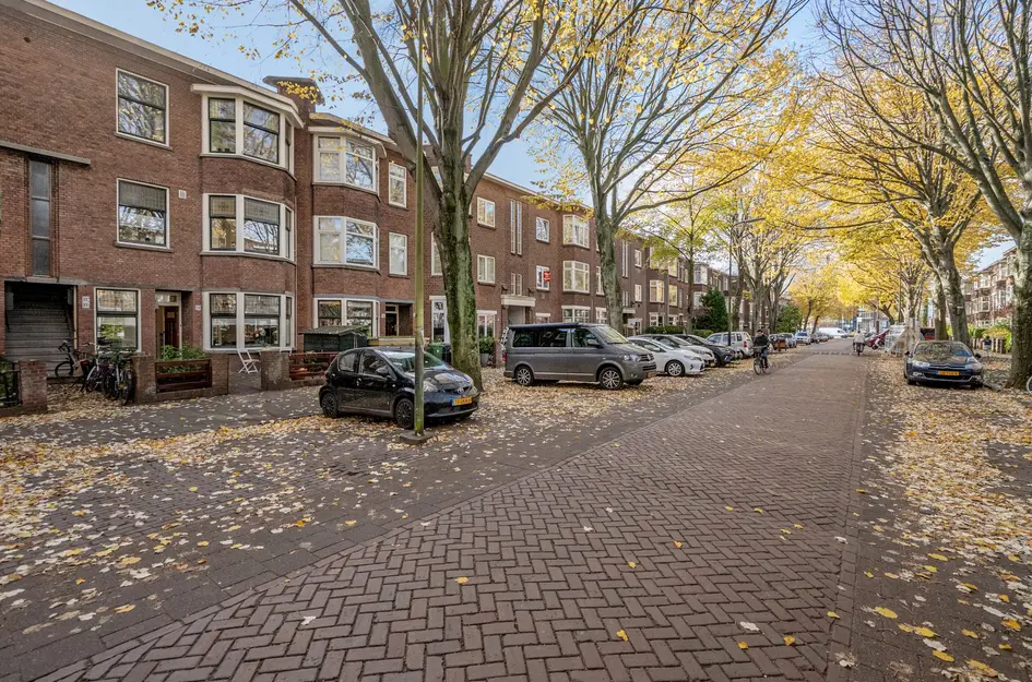 Caan van Necklaan 100